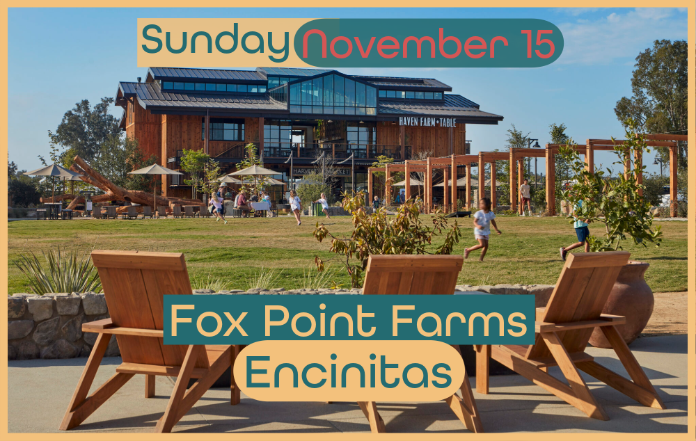 Sunday, November 15, at Fox Point Farms in Encinitas, pictured from the lawn.